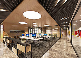 廣州辦公室裝修后適合擺放什么植物？